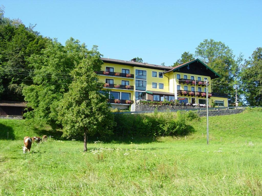 Hotel Zur Schonen Aussicht Übersee エクステリア 写真
