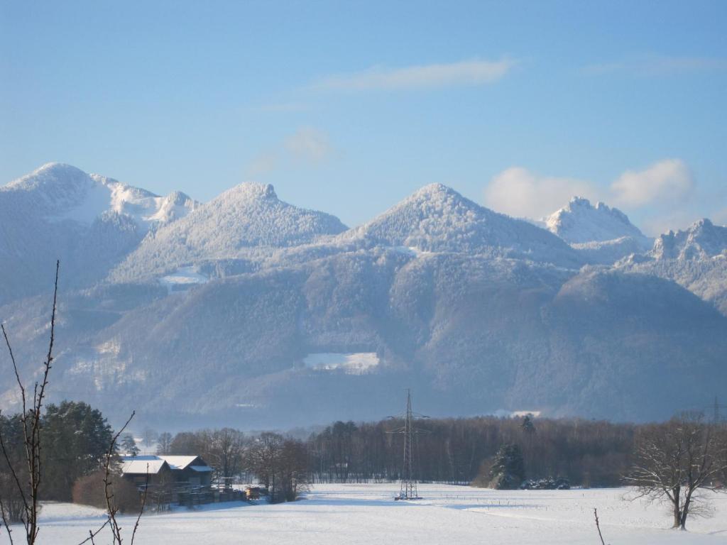 Hotel Zur Schonen Aussicht Übersee エクステリア 写真